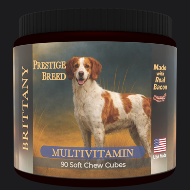 Prestige Breed Brittany Multivitamin, 90 count jar